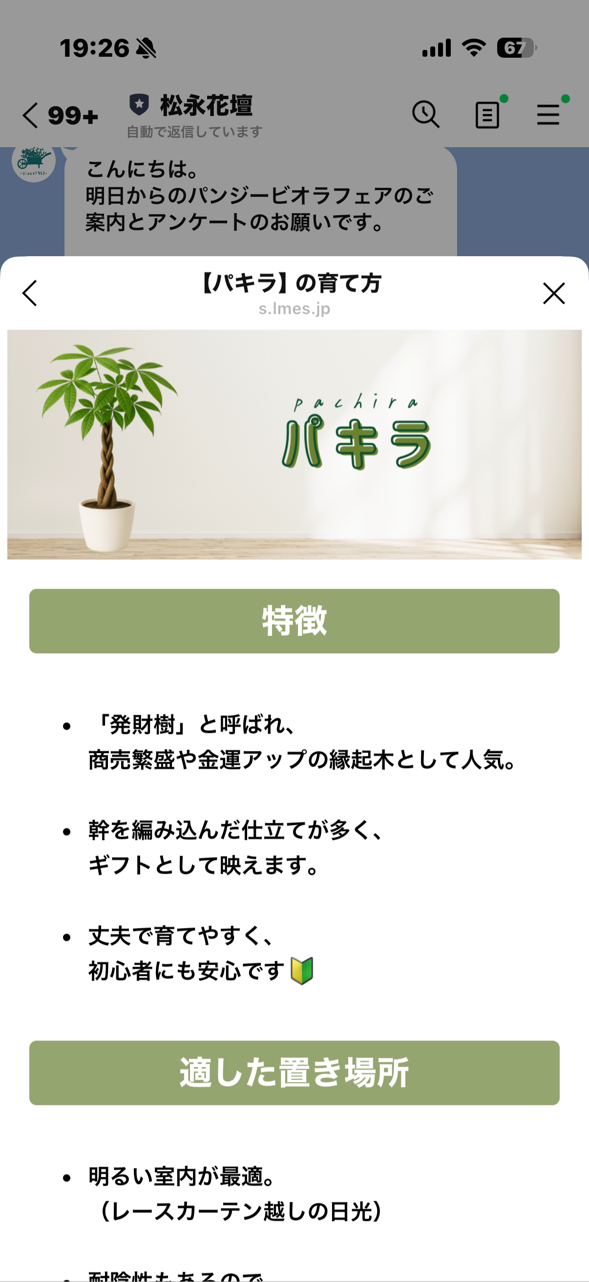 松永花壇 公式LINE 植物説明